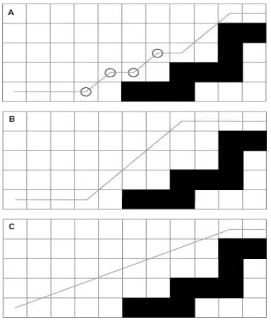Figure 4.2  The Common Zigzag Effect of the Standard (a) amodification with fewer, but still fairly dramatic     turns, (b) and the most directed and hence desired     route (c) (Stout 1999) 