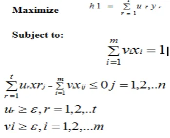 Fig. 1.  DEA linear formula  