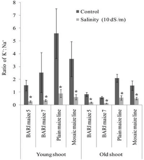 Figure 3. Effect of NaCl on K: Naratio in the young and old shoot of four maize genotypes