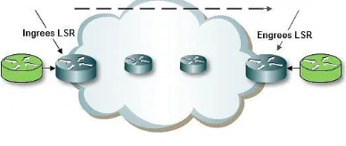 Figure 2 MPLS based model   