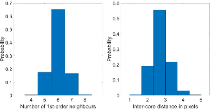Fig. 4.b illustrates the distribution of distances (in number of pixels) between each core  within a fibre bundle and its immediate (1 st  order) neighbouring cores