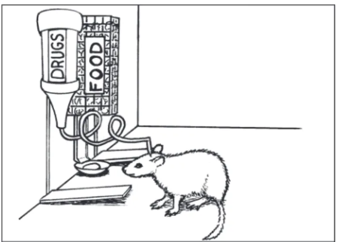 Figure 4.3 Diagram of a rat in a cage during a  drug self-administration experiment. 