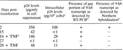 FIG. 2.astrocytes.orgiventransfectedastrocytesas described 27 Temporal characteristics of HIV-1 mRNA transcripts in RNA was purified at different time points from astrocytes with pNL4-3