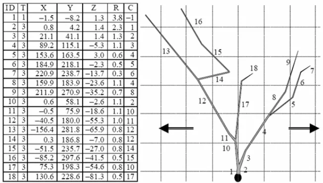 FIGURE 2:  Digital representation of neuron morphology from ‘SWC’ format data (left panel) [12]