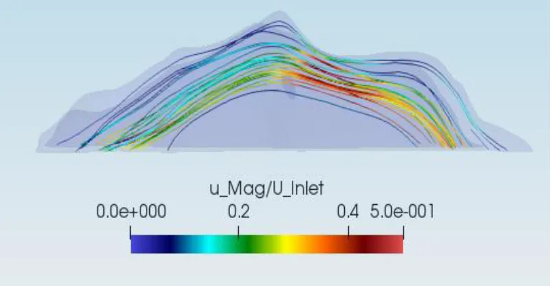 Figure 4. 22. Velocity streamlines across the nasal cavity. 