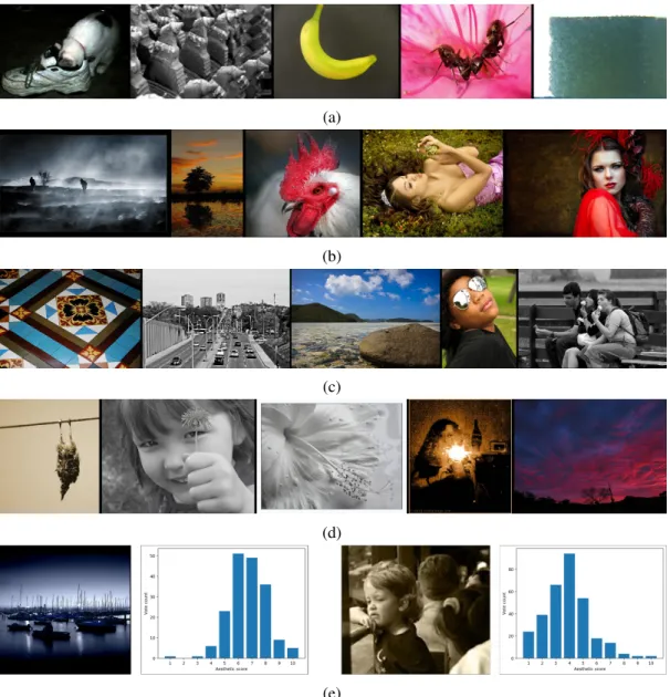 Figure 2.2: Figure showing example images from the AVA dataset that demonstrate the kind of images are used for learning aesthetic functions