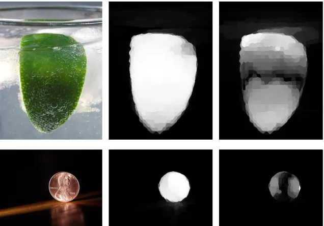 Figure 3.3: Plot of the saliency maps for the first two eigenvectors of the images with a single salient object
