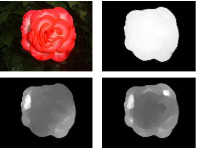 Figure 3.5: Original image (top left) of a scene with one salient object and its corresponding saliency maps as we vary the number of eigenvectors considered for the superpixel embedding: 1 (top right), 2 (bottom left), 3 (bottom right)