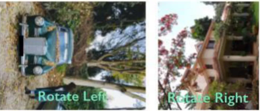 Fig. 4: Negative training examples for rotation correction with suggested action   