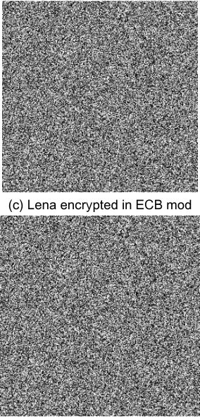Figure 8: Original Cameraman and its ciphering image using CBC, ECB, and DFC modes  