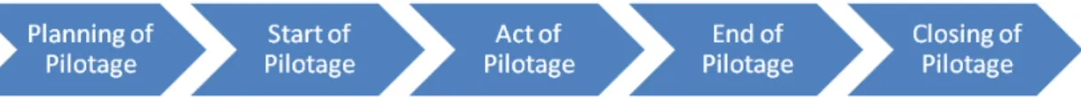 Figure 7.1. Pilotage process model 