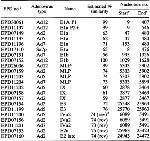 FIG.5.programderived Restriction maps of Adl2 DNA. From top to bottom the PstI, EcoRI, BamHI, HindIII, HhaI, and MspI restriction maps of Adt2 DNA, from the primary nucleotide sequence, are shown
