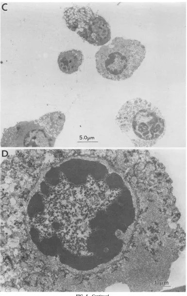 FIG. 5-Continued.