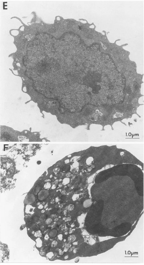 FIG. 5-Continued.