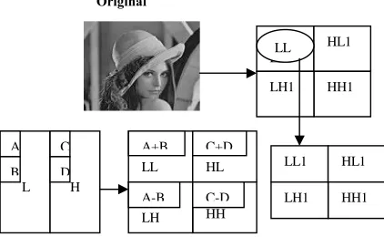 Fig 2: 1-Level Decomposition of Input Image 