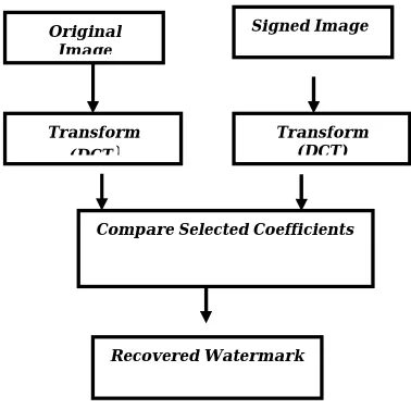 Fig 6: Watermark Detection 
