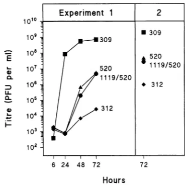 FIG. 3.yieldssimilar1, KB Growth of EIA mutant viruses on KB cells. In experiment cells were harvested and lysed at different times p.i., and the of virus in PFU were measured on 293 cells