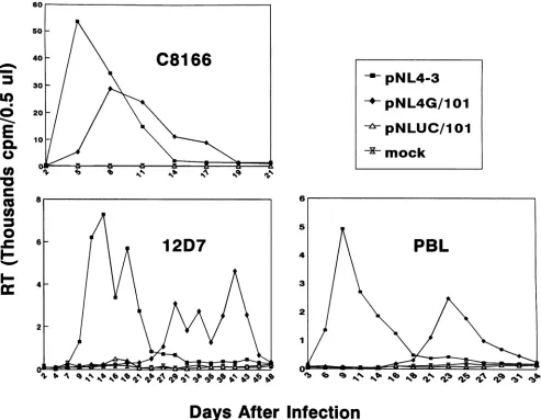 FIG. 6.pNLUC/101Cellular106 Viruses with increased Spl-TATAA spacing in U3 replicate poorly