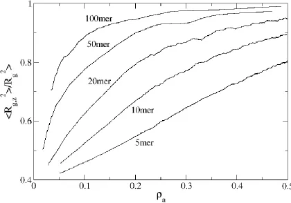 Figure 2.7: Ratio of the radius of gyration in the z-direction to the overall radius of gyration 