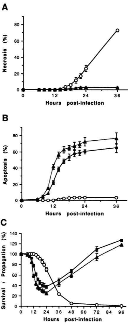 FIG. 2.virus.5ofbols:andandparentaldeviations)infection. was the Cell responses at various times after Hz-1 baculovirus Parental and persistently infected cells were challenged with After viral challenge, numbers of necrotic (A), apoptotic (B), surviving a