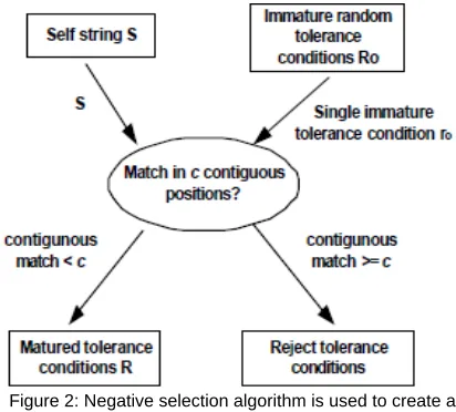 Figure 2: Negative selection algorithm is used to create a  set of tolerance conditions R that do not match any self 
