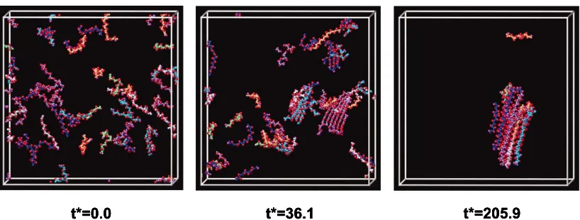 Figure 2. 8  Snapshots of 48 peptide system at various reduced times, t*.  The simulation proceeds from a random initial configuration at concentration c=10mM and temperature T*=0.14 until the formation of a protofilament at t*=205.9 [18]