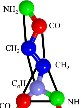 Figure 2. 10  Tube formed during simulation of 24 polyglutamine 16mers [73].   