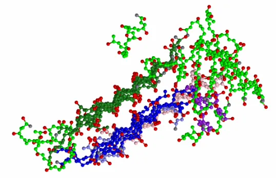 Figure 2. 11  Snapshot of a 48-peptide ordered aggregate obtained from the c=1mM simulation at T*=0.12 (Wagoner and Hall unpublished)