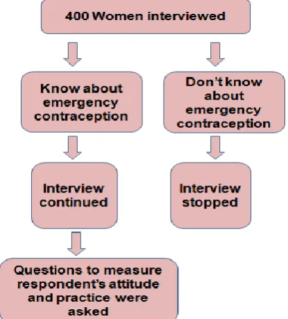 Figure 1: Schematic presentation of data collection.