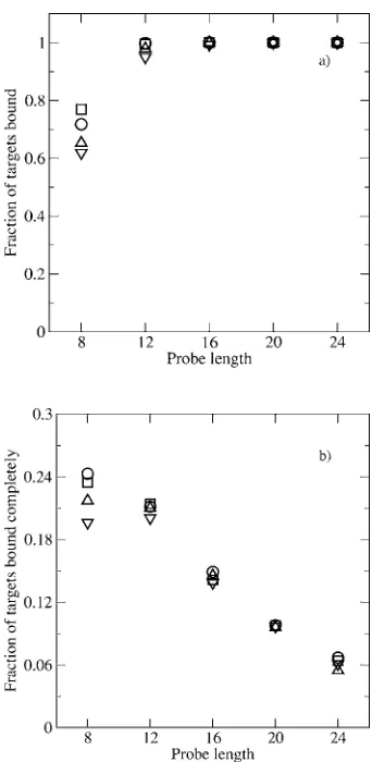 FIG. 7. �0.000 278 probe molecules per nma� Fraction of targets in the system that are bound to probes by atleast one segment vs probe length, and �b� fraction of targets in the systemthat are bound to the probes completely at varying target concentrations of0.48 �M �circle�, 0.96 �M �square�, 1.44 �M �upward triangle�, and1.92 �M�downwardtriangle�atintermediatesurfacedensityof2 and �=3kT.