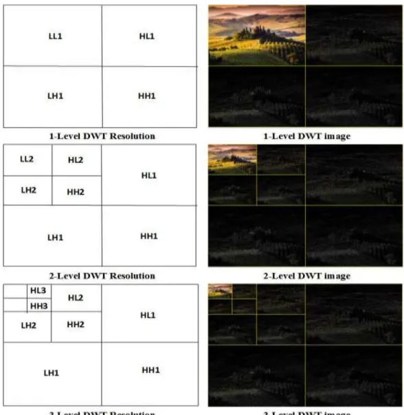 Figure 2-3: Pyramid of wavelet transform for 1 st , 2 nd  and 3 rd levels. 