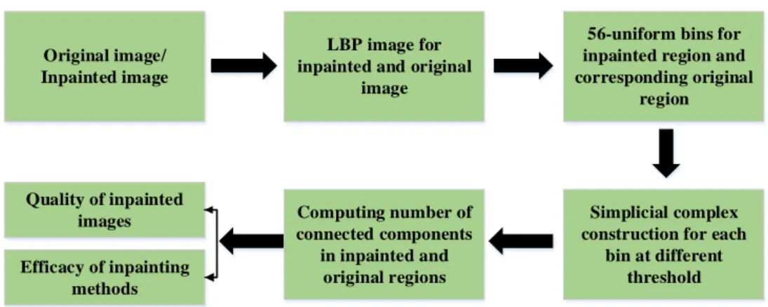 Figure 2-16: Simplicial complex construction for the quality of image inpainting .