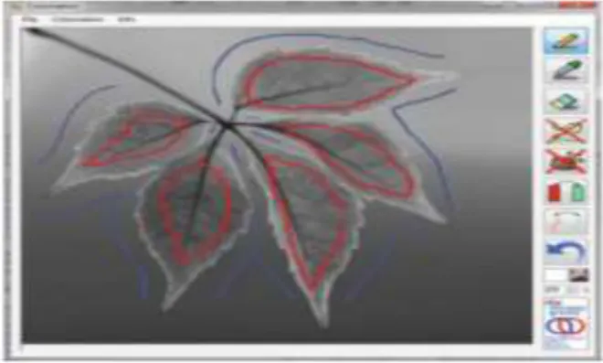 Figure 3-2: Example of a colourisation software layout. Grayscale image with indicated colour  scribbles