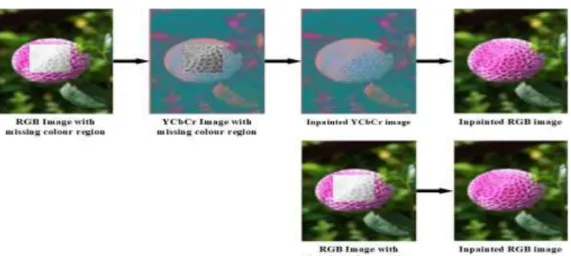 Figure 3-4: Sapiro colourisation algorithm. Row (1) Sapiro colourisation process in the YCbCr  colour space, Row (2) Sapiro colourisation process in the RGB colour space