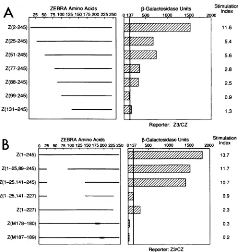 Fig. IDcerevisiae.weaklytiononemoremanyexperimentinthree the shows that ZEBRA was a weak activator in S