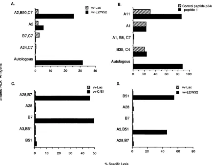 FIG. 3.proteinpeptideanandrecognizedHLAHCVis A2,24, effector-to-target HCV-specific CTL are HLA class I restricted