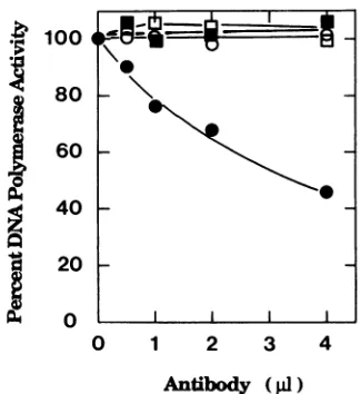 FIG. 2.catalyticforperformedporationpresenceasofamountsammonium described the Stimulation of the DNA Pol activity of the BALF5 Pol subunit by the BMRF1 Pol accessory subunit