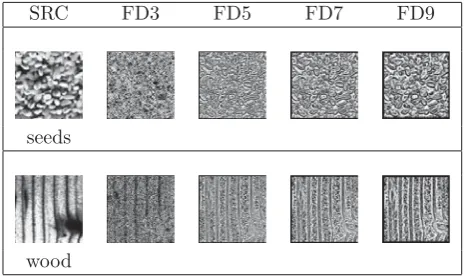Figure 2: Images generated by applying various sizes offractal ﬁlters.A larger ﬁlter (FD9) can capture thickwood grain patterns, and a small ﬁlter (FD3) can capturethin wood grain patterns.