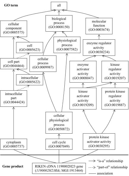 Figure 2.4: The GO sub-ontologies 
