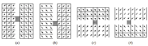 Fig. 3 Omni-directional orientation fields neighbouring the core points: (a) Upper-core, (b) Lower-core, (c) Right-core, and (d) Left- core
