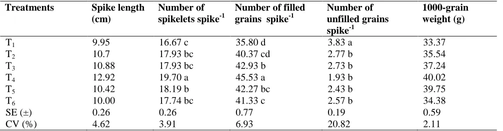 Table 2. Yield parameters of wheat under different treatments.  