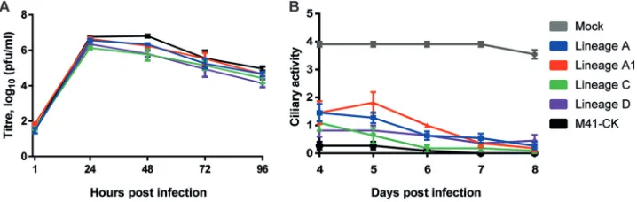 FIG 1 Serially egg-passaged viruses exhibit anGrowth kinetics of serially egg passaged virus on CK cells