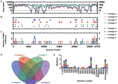 FIG 4 Distribution of consensus level mutations across attenuated egg-passaged virus genomes