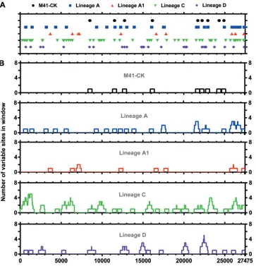 FIG 5 Final egg-passaged viruses possess greater variant density than virulent M41-CK
