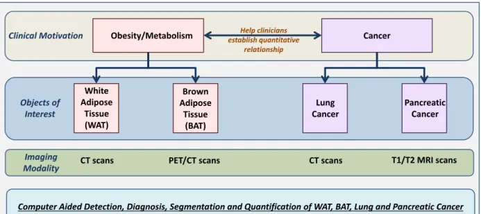 Figure 1.1: The organization of the dissertation is shown. The clinical motivation is to help clin- clin-icians in establishing the quantitative relationship between obesity and different cancers