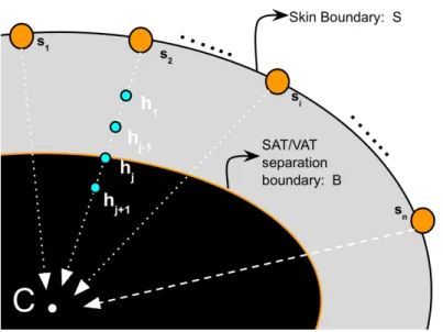 Figure 3.2: An illustration of skin boundary and hypothesis points along the radii connecting S with its centroid C