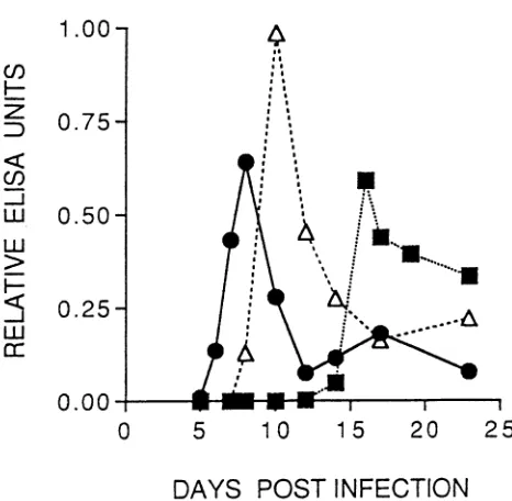 FIG. 4.weredatafromestablishment Temporal analysis of H9 cells transfected with the NL4-3-HXB-2 recombinants