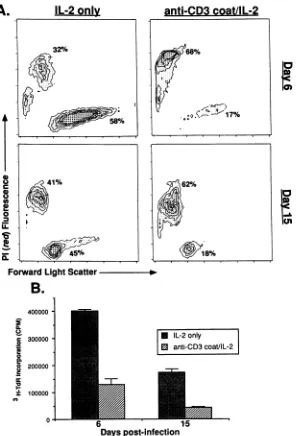 FIG. 7.exogenousPI/forwardfor Effects of IL-2 preculture on priming T cells from mice during (day 6) and after (day 15) LCMV infection to die by apoptosis