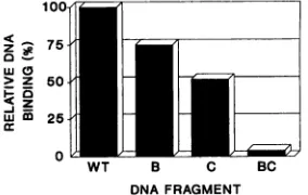 FIG. 4.withvirusstartandtranscriptioncomplexesformed,fragmentA1A2 Comparison of the level of stalled RNA polymerases the density of polymerases downstream of the late transcription site