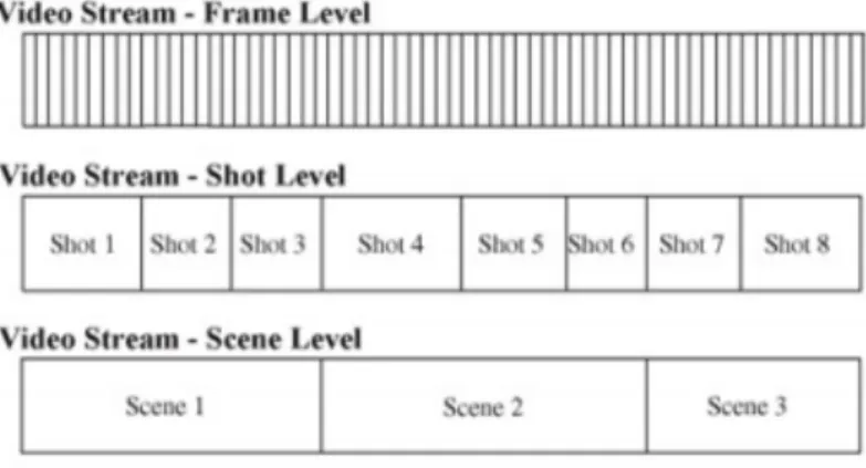 Figure 1.1: Decomposition levels in video stream.